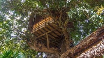 Façade de lâhĂ©bergement