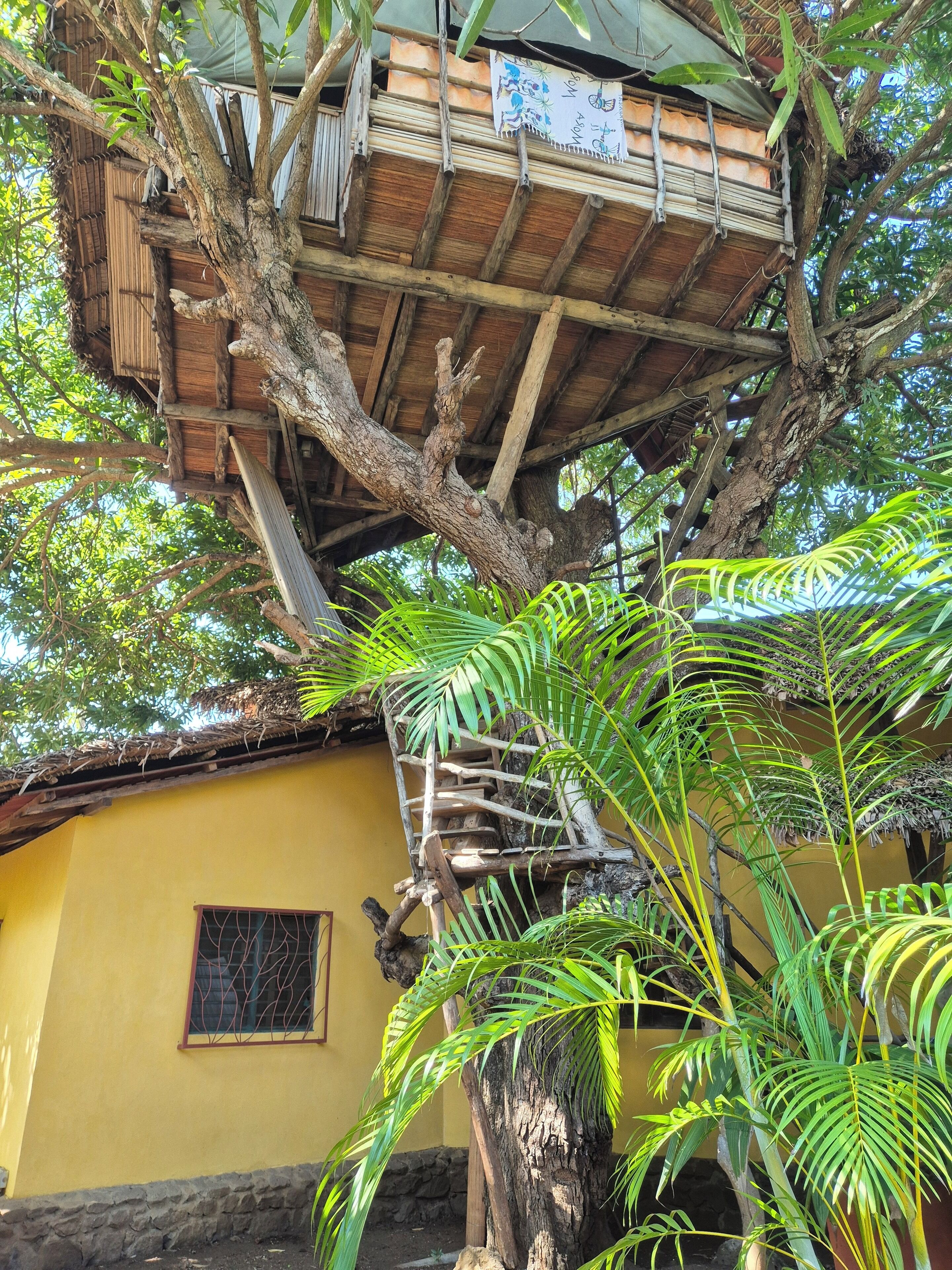 树屋, 花园景观 | 客房内保险箱、遮光窗帘、熨斗/熨衣板、免费 WiFi