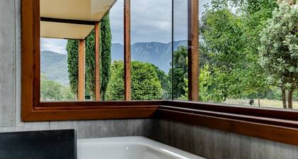 Buffalo Bliss - Magical views