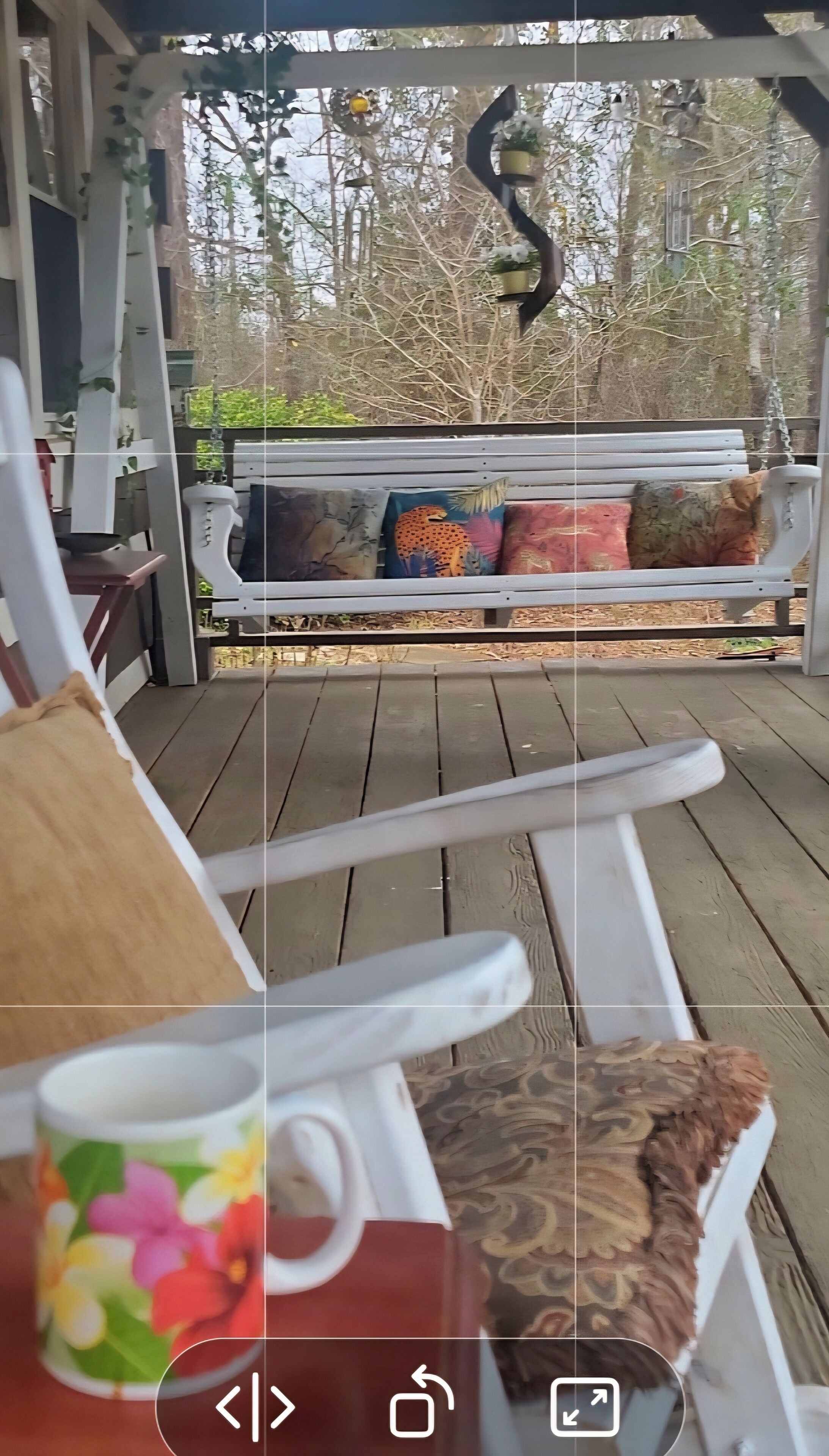 テラス / パティオ