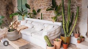 Un divano bianco con cuscini, circondato da diverse piante in vaso, tra cui cactus, su uno sfondo di parete in pietra con persiana verde.
