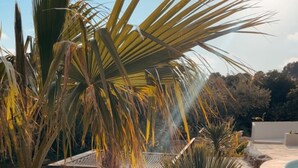 Un giardino pensile con palme e un vialetto in pietra.