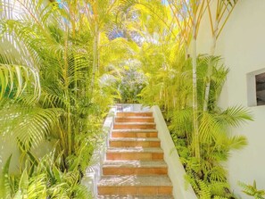 Property grounds - Private Pool + Jungle Views | 2BR | Walk to Beach (Sayulita)