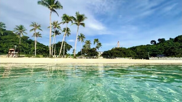 A beach with clear turquoise water, palm trees, and a sandy shore.