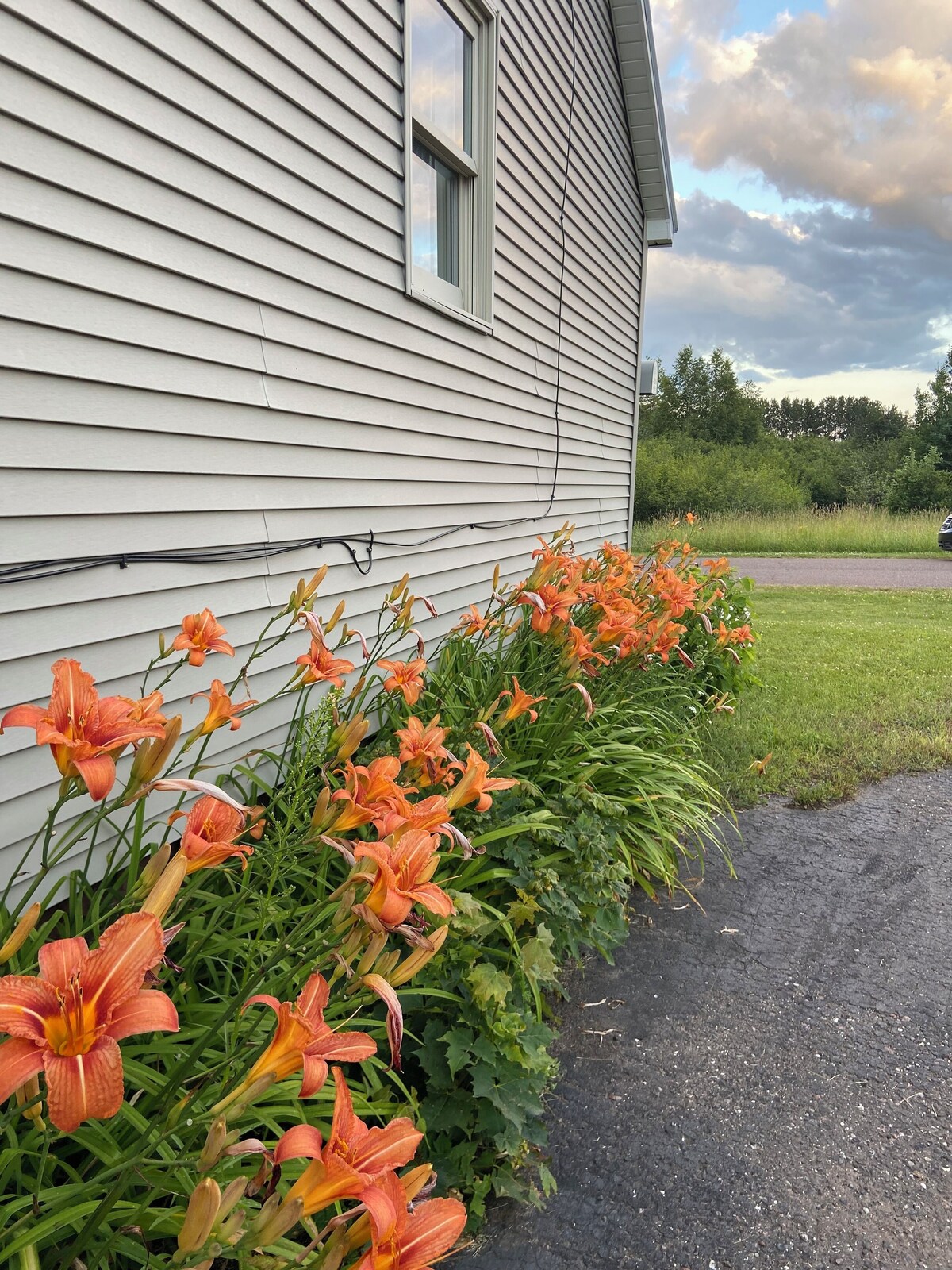 Imagen de perfil del propietario o de la propietaria