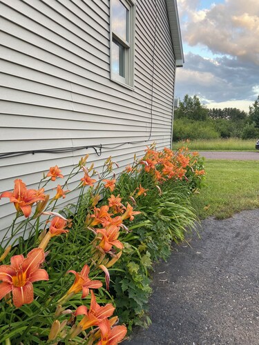 Cozy 2-bedroom cottage in historic Calumet