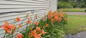 Cozy 2-bedroom cottage in historic Calumet