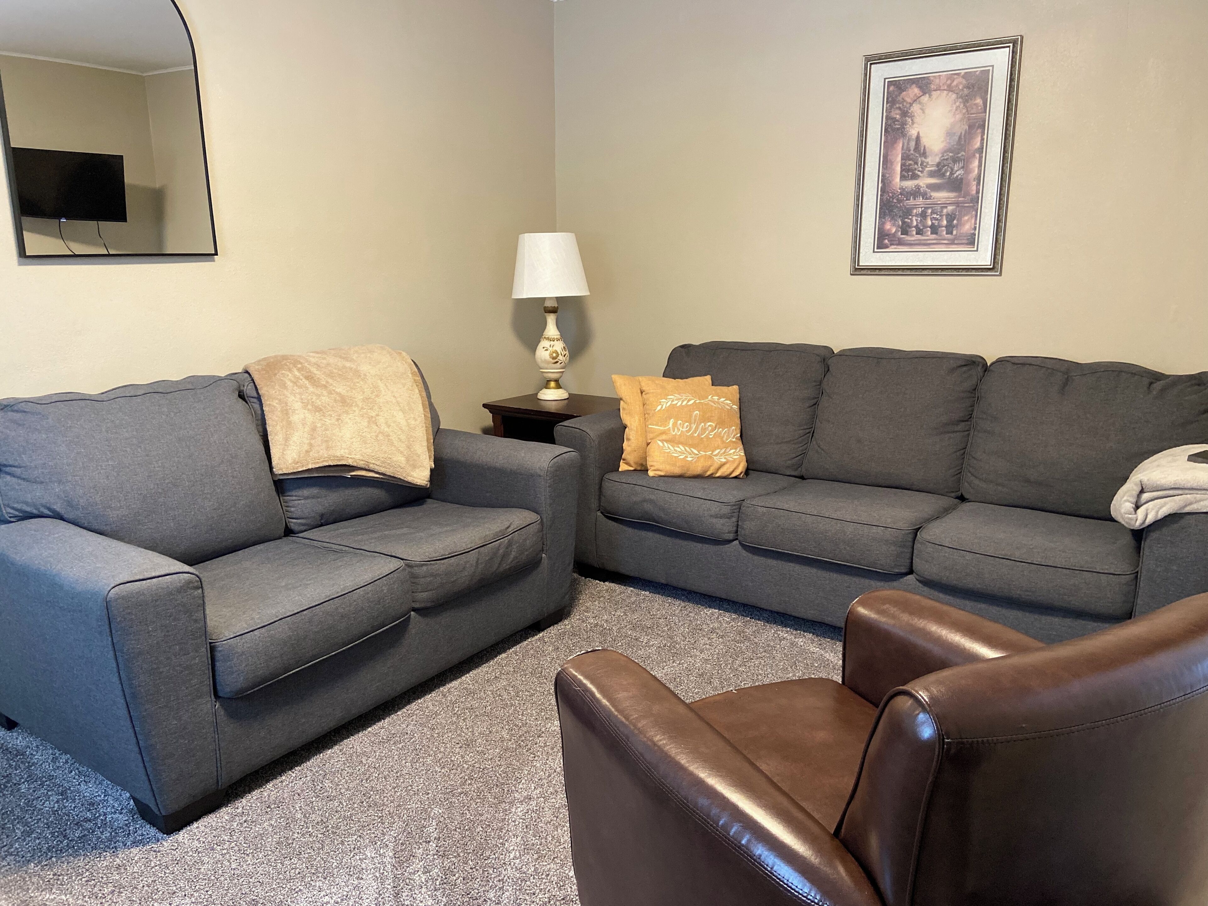 智能電視、書籍