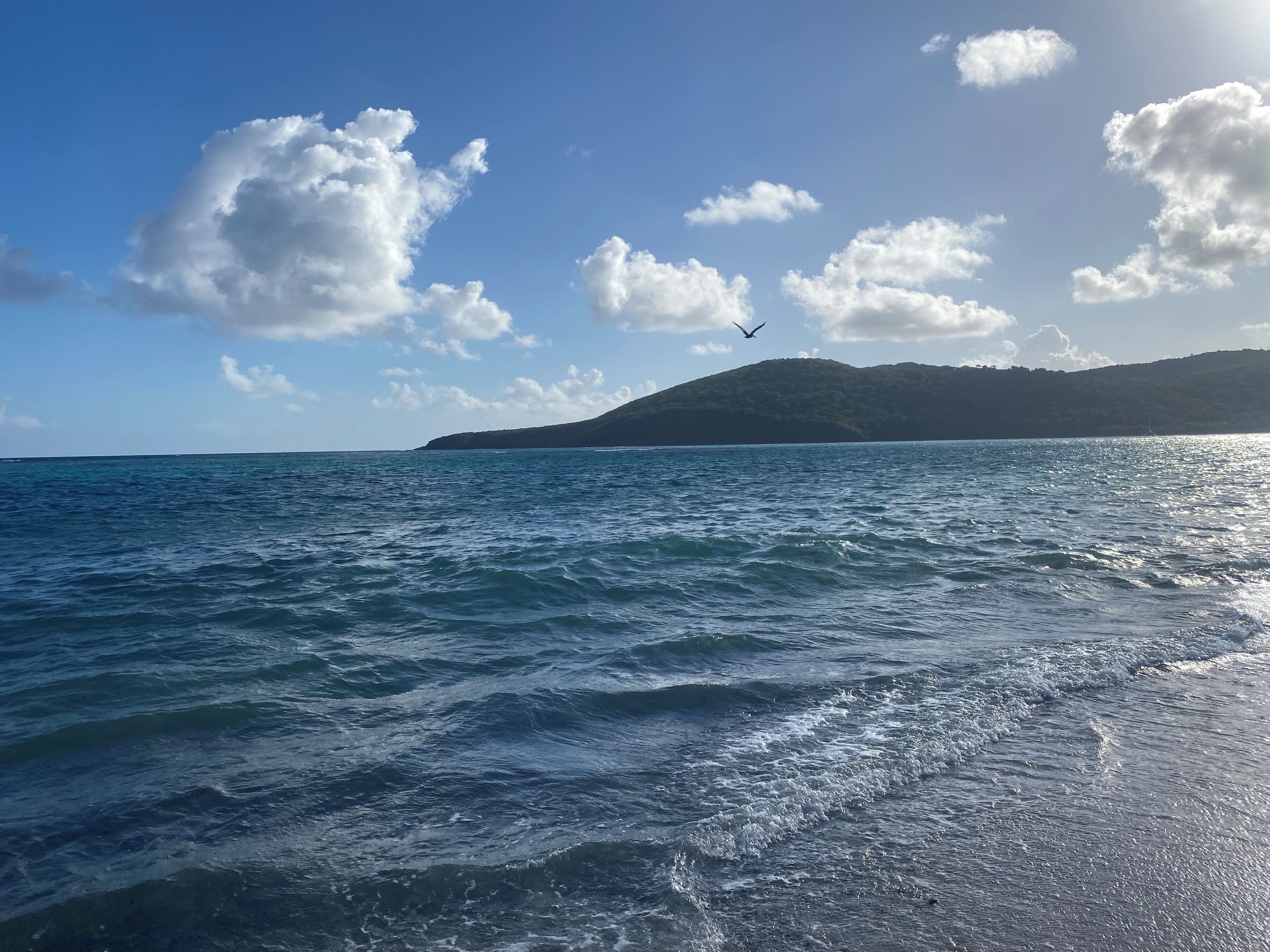 サンラウンジャー、ビーチタオル