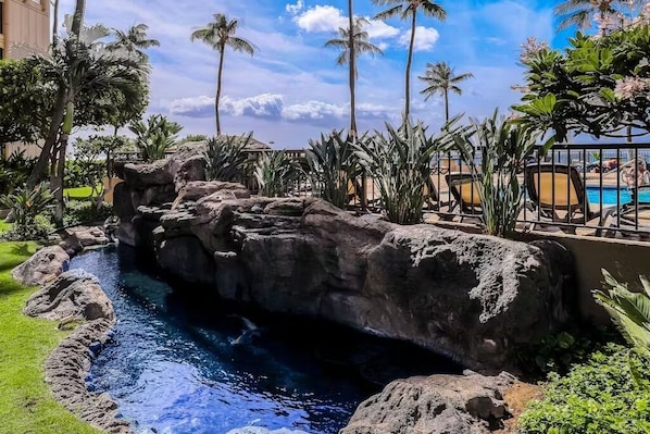 Pool - Penthouse condo in gorgeous Kihei (Kihei)