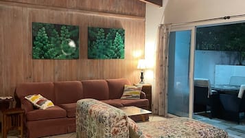 TV connectée, cheminée, lecteur de DVD, livres