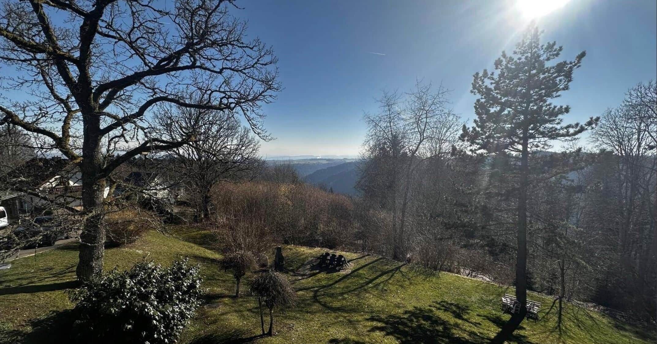 Un paysage composé d’arbres, d’une zone herbeuse et d’une vue lointaine sur des collines.