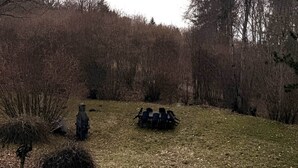Een grasveld met een buitenkraan en een groep stoelen.