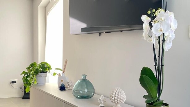 A modern living room with a white console table, a flat-screen TV mounted on the wall, and various decorative items including potted plants and vases. - B&B Dimora delle Province (Catania)