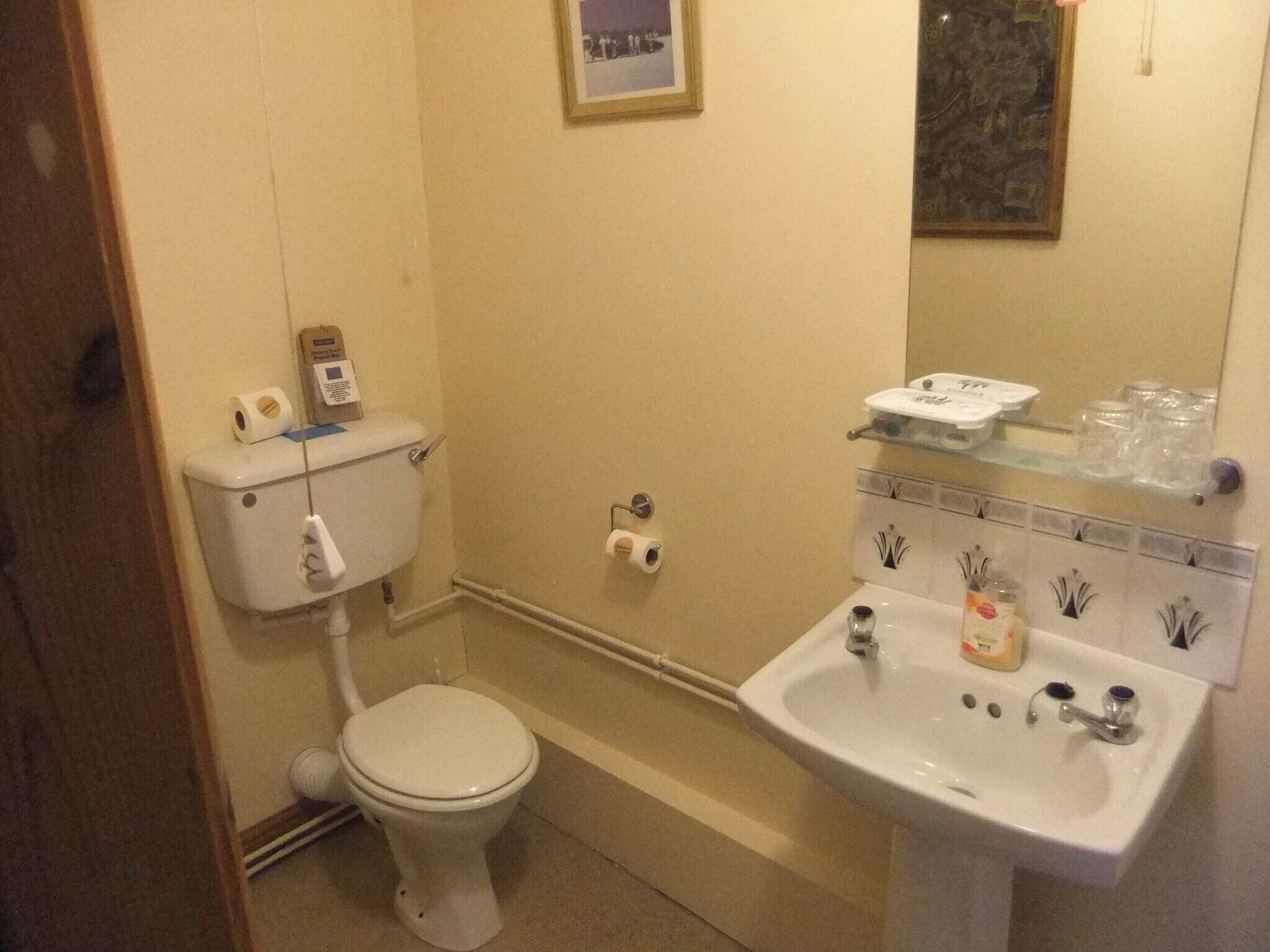 A bathroom with a toilet, sink, and a mirror.