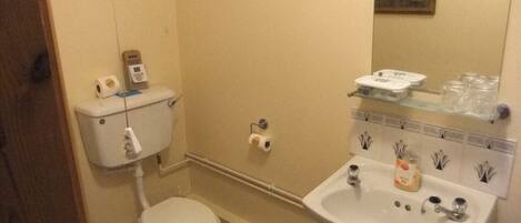 A bathroom with a toilet, sink, and a mirror.