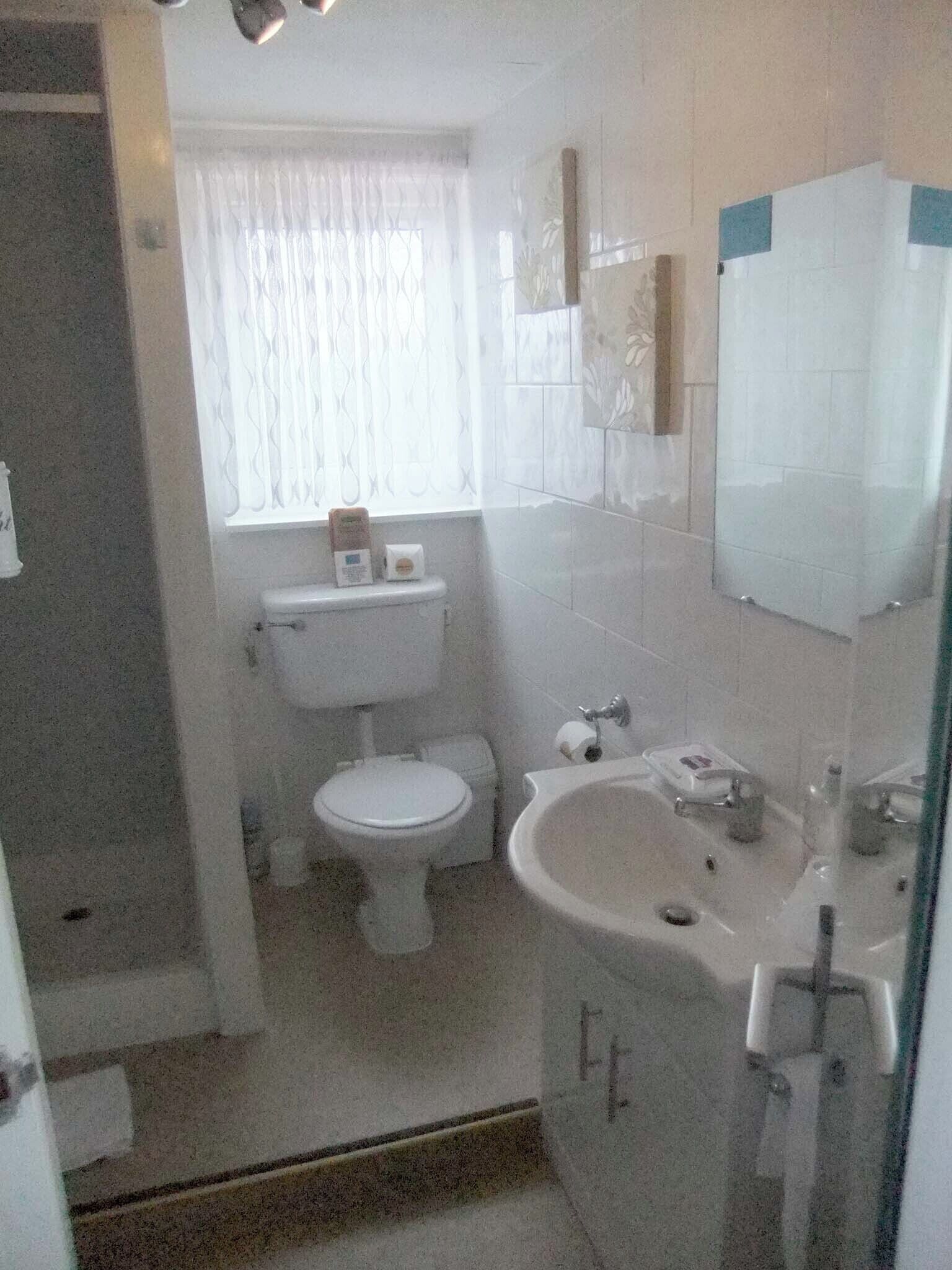 A bathroom with a toilet, sink, and window with curtains.