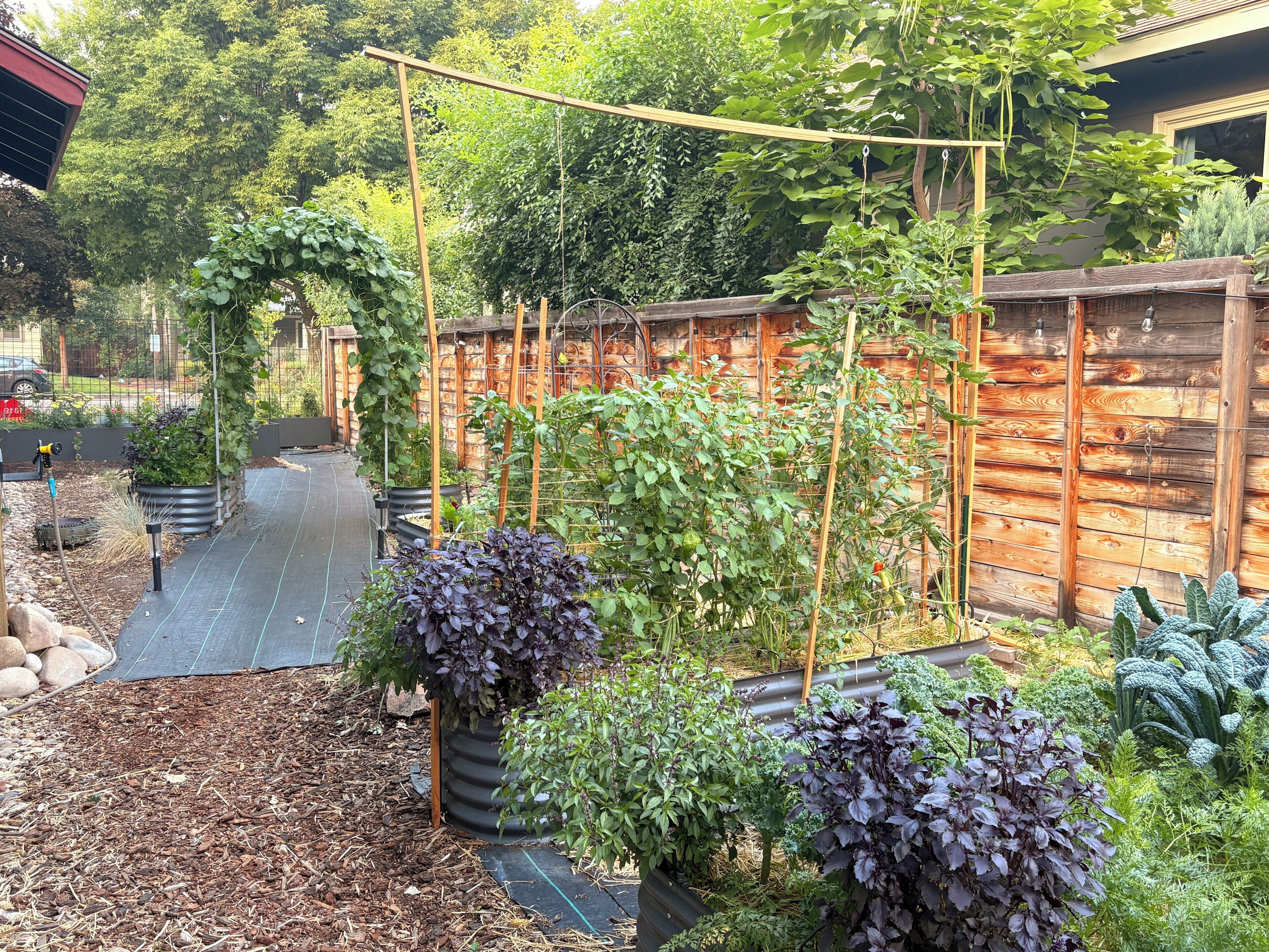 A garden with raised beds, a wooden fence, and various plants.