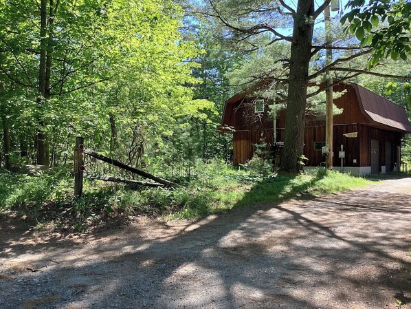 Une cabane rustique, accessible par un sentier de terre, et entourée d’un feuillage verdoyant et luxuriant.