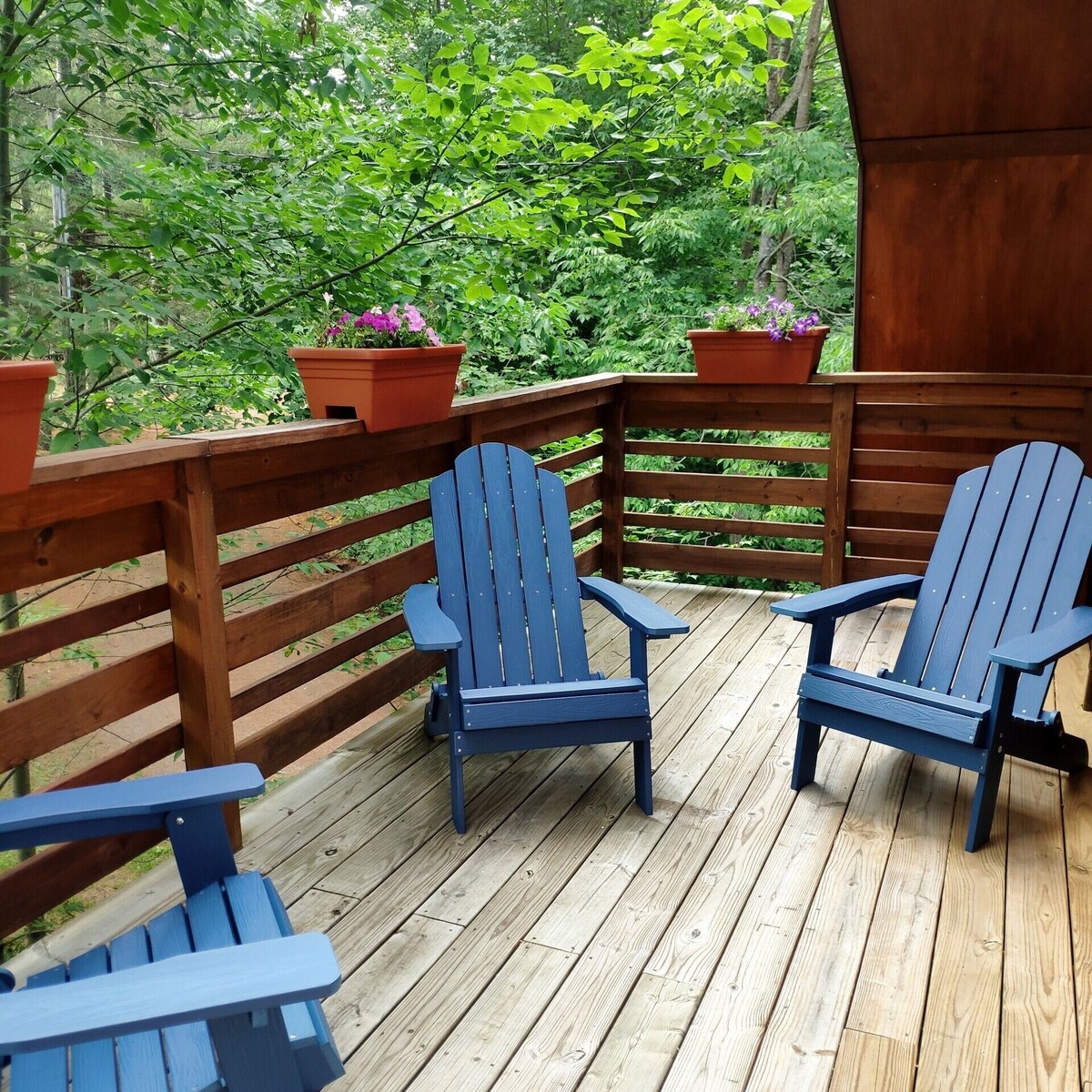 Bild für Gastgeberprofil