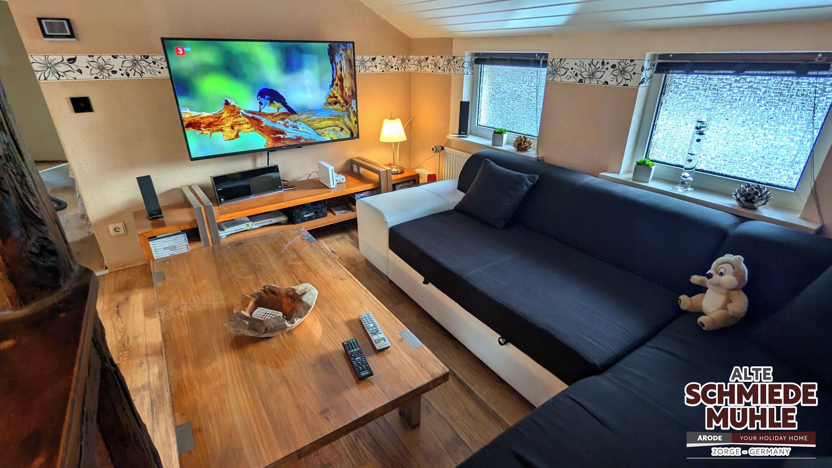 Smart-TV, Videospiele, DVD-Player, Bücher