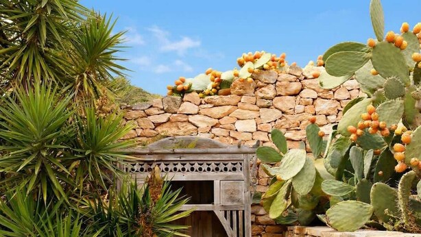 A stone wall with a wooden structure, possibly a gazebo, surrounded by cacti and yucca plants. - Can Joseph II Can Toni Platera (Formentera)