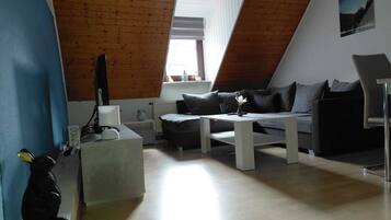 Fernseher, Bücher