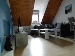 Fernseher, Bücher