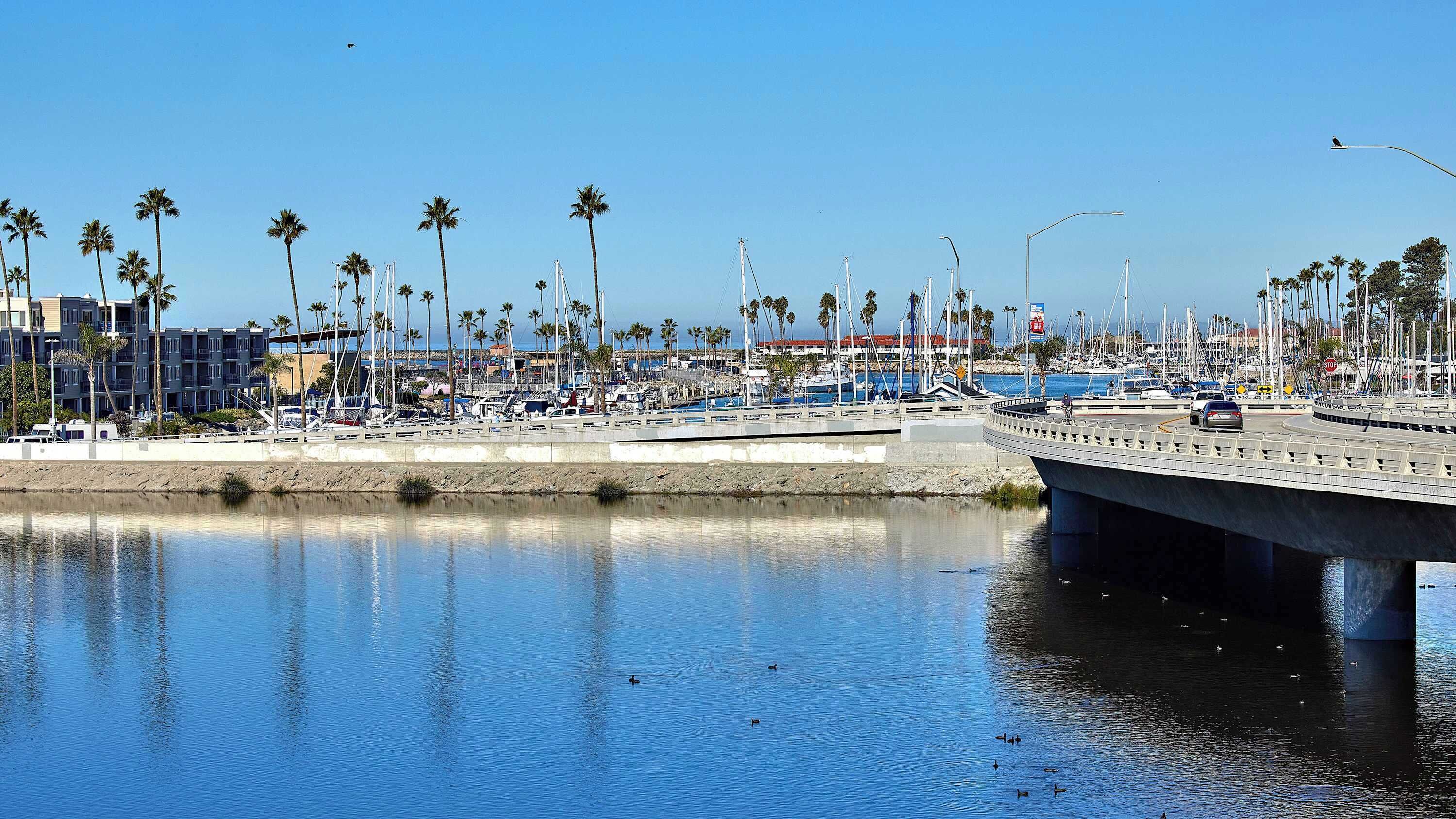 A marina with boats, a bridge, and palm trees.