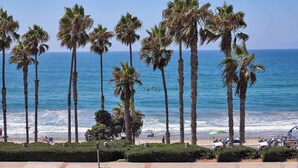 Ein Strand mit hohen Palmen, blauem Himmel und dem Meer im Hintergrund.