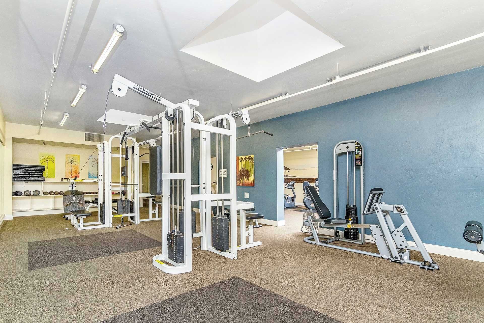 A gym with various exercise equipment, including weight machines and cardio machines, with a blue wall and ceiling lights.