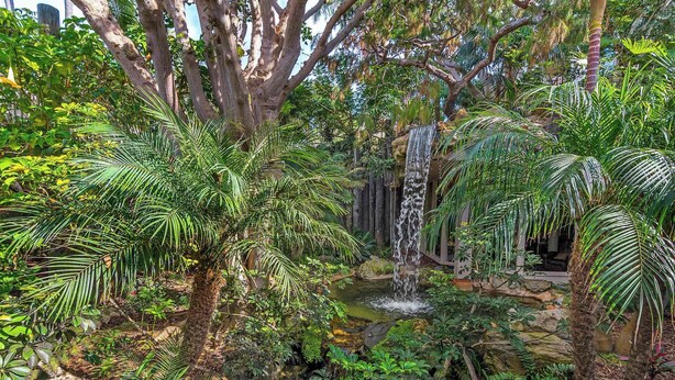 Un jardin intérieur luxuriant, agrémenté d’une cascade, d’un feuillage dense et d’un sentier en pierre.