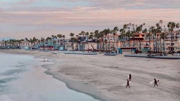 A beach with a row of buildings and palm trees. - 5N-31 Beach View, BBQ & Jacuzzi! (Oceanside)