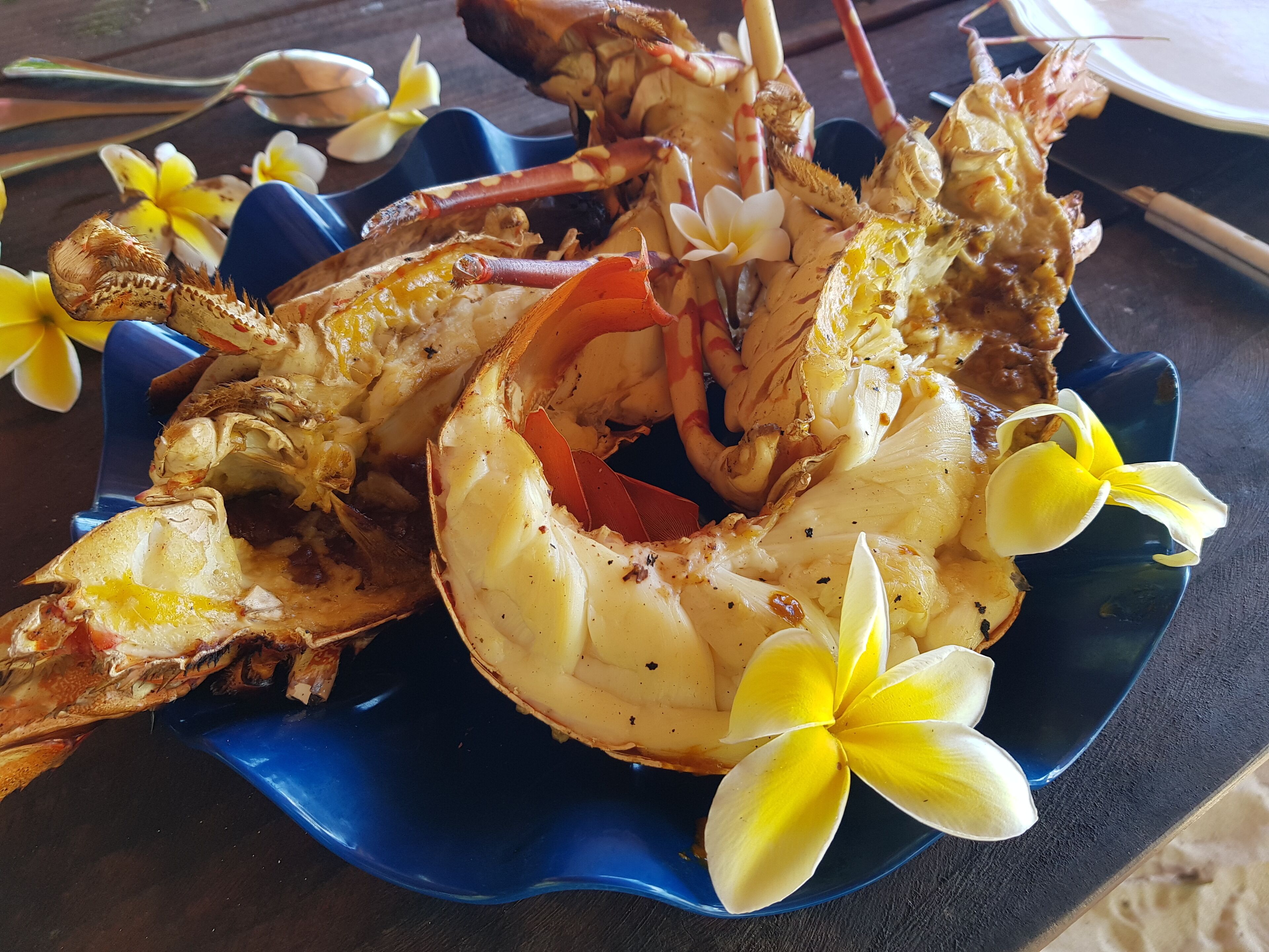 A blue plate with cooked seafood, possibly lobster, garnished with yellow flowers.