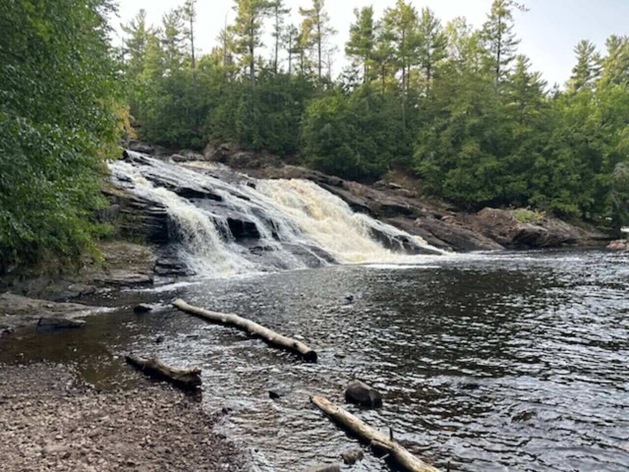 Una cascata in una zona boscosa con un letto di fiume roccioso e tronchi caduti.