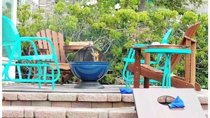 Espace extérieur aménagé avec des chaises et une table, un foyer et une vue sur la verdure.