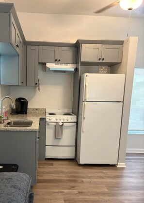 Fridge, oven, stovetop, coffee/tea maker