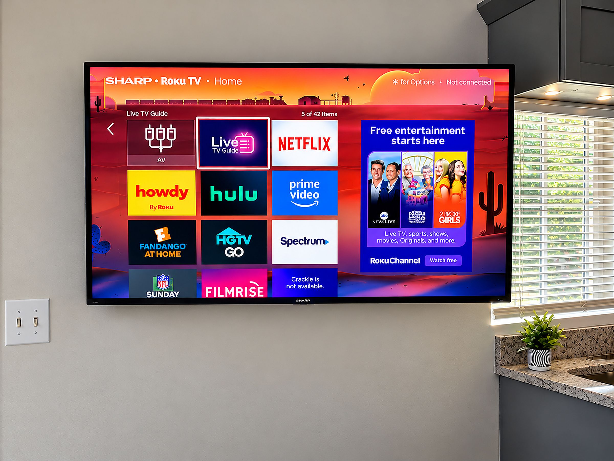 A flat-screen TV mounted on a wall displaying a Roku TV interface with various streaming service logos.