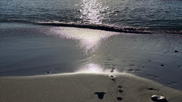 Una playa con huellas que conducen al agua, cielo despejado y el sol reflejándose en el agua.