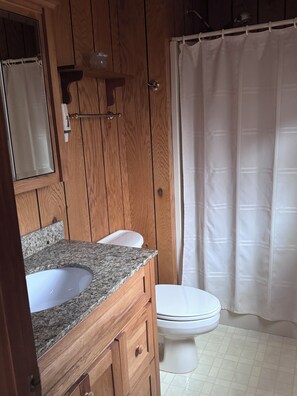 Hair dryer, towels, soap, shampoo