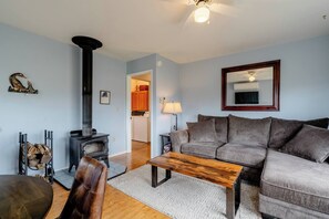 Smart TV, fireplace, books, stereo