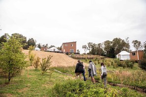 Área da propriedade