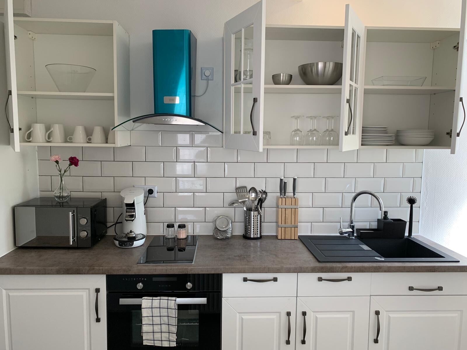 Microwave, oven, stovetop, dishwasher