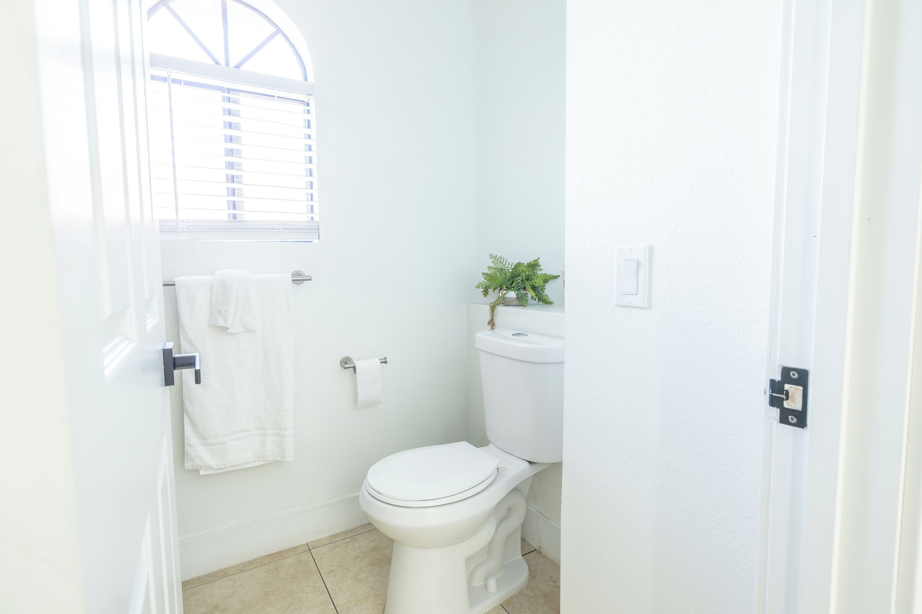 Ein kleines, weißes Badezimmer mit Toilette, Handtuchhalter, einem Fenster mit Jalousien und einer kleinen Pflanze auf dem Toilettentank.