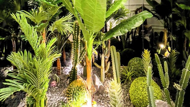 Ein gut beleuchteter Innenbereich mit einem Garten, verschiedenen Pflanzen und Steinen.