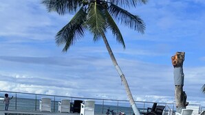 A grassy area with a palm tree and a concrete structure. - Cozy 1-bedroom apartment in beautiful Aguada with AC (Aguada)