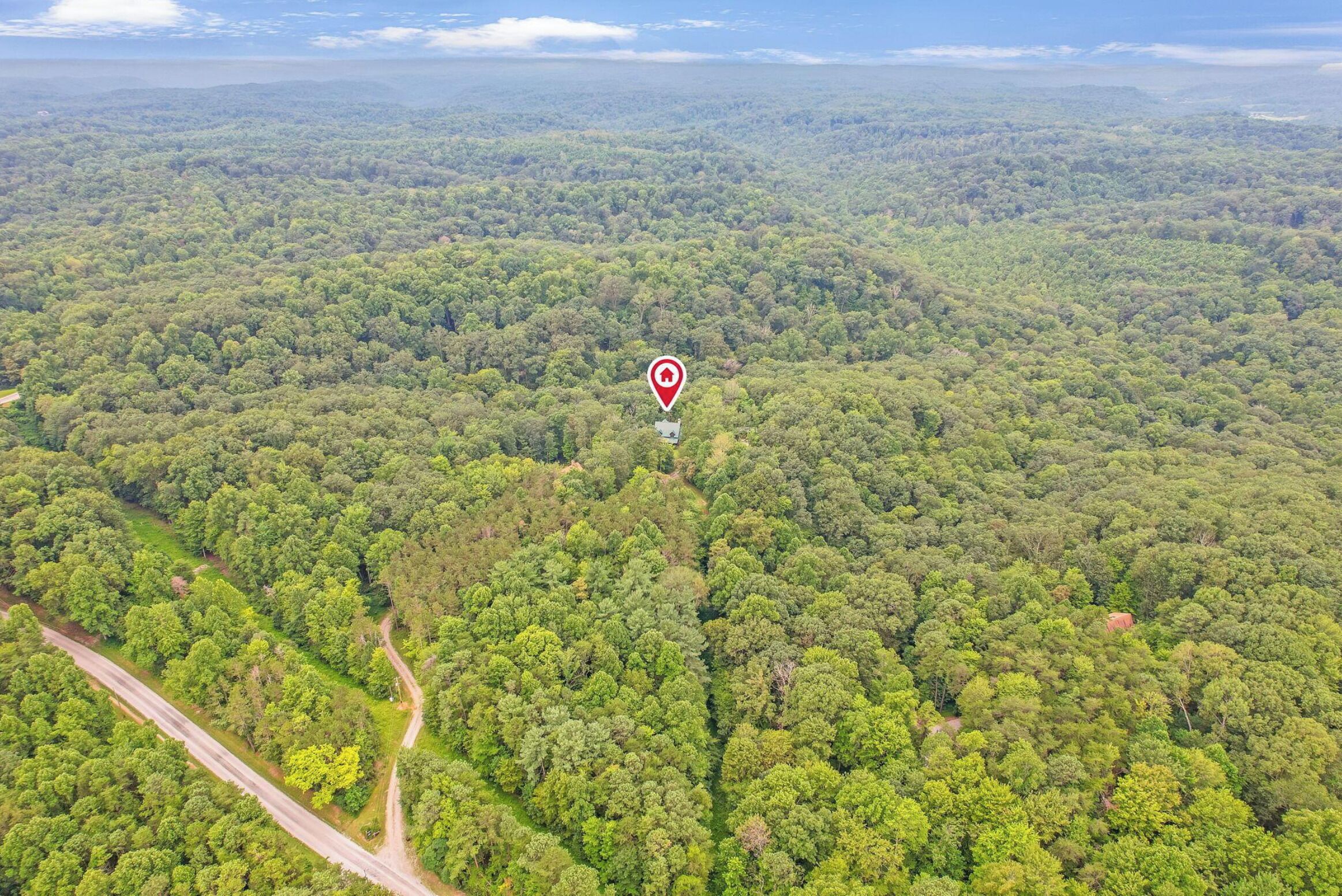 An aerial view of a dense forest with a road cutting through it.