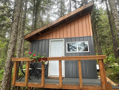  Ellsworth Glacier View Cabin #1 Remote Ocean Front Cabin