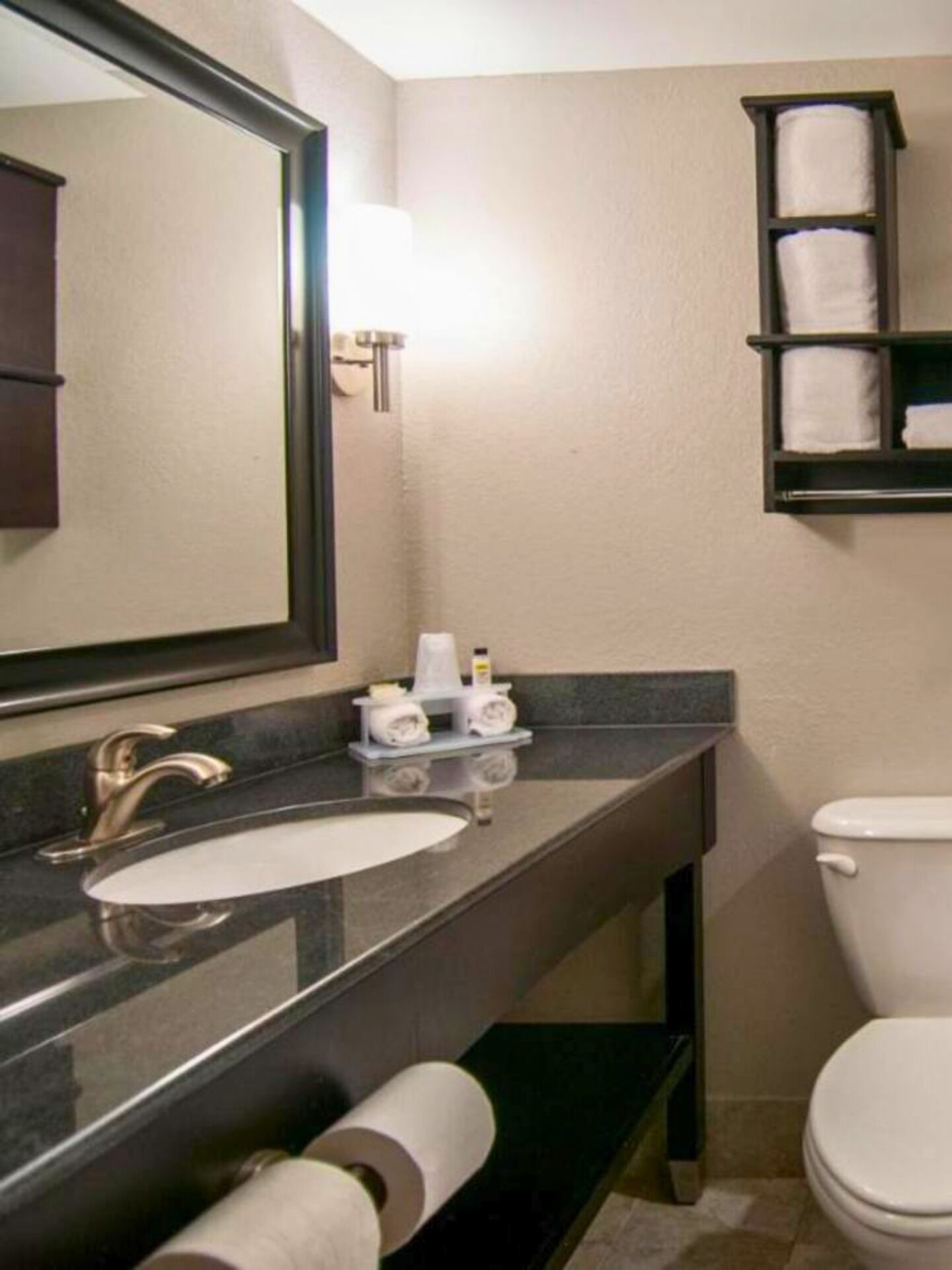 Hair dryer, towels, shampoo, toilet paper