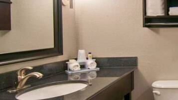 Hair dryer, towels, shampoo, toilet paper